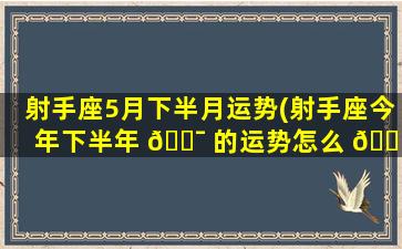 射手座5月下半月运势(射手座今年下半年 🐯 的运势怎么 🐈 样)